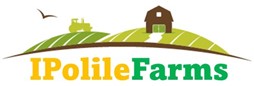 ipolile farms